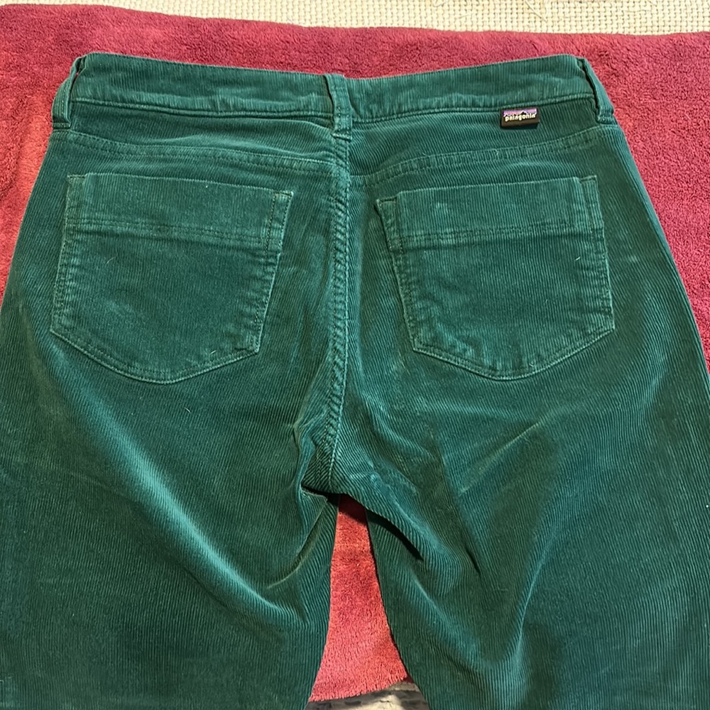 Patagonia (lighter) Green Corduroy pants - Picture 5 of 7